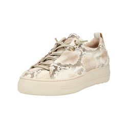 Sneaker Paul Green beige - Bild 5