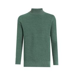 Felix Hardy Herren Grün Rollkragenpullover "Rollkragenpullover" erhältlich in Größe L/M/S/XL/XXL von Baur - Bild 3