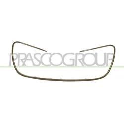 Prasco Kühlergitter Pg5302305 Für Peugeot