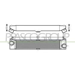 Prasco Ladeluftkühler Ci954n001 Für Citroën Peugeot