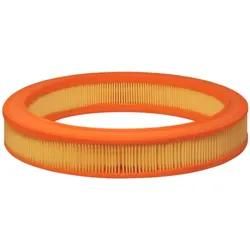 Filtron Luftfilter Ar222 Filtereinsatz 48Mm Für Ford General Motors