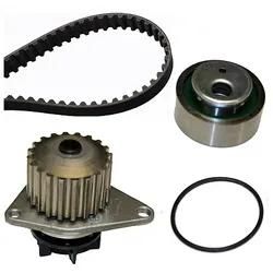 Ina Wasserpumpe + Zahnriemensatz 530001230 Für Peugeot Citroën