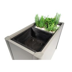 Biohort Pflanzeinsatz für Pflanzbeet Belvedere 2er Set - Image 3
