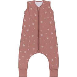 Fillikid Pusteblume Babyschlafsack "Mit Beinen Tog 25" Für Das Ganze Jahr Und Raumtemperaturen Von 15-21C Kinder von Baur - Image 2