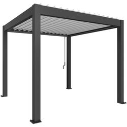 Biohort Dunkelgrau Metallic Pergola "3X3 Verschiedene Farben" Ausgezeichnet Mit Dem Red Dot Design Award von Baur - Image 4