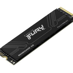 Kingston Fury Renegade G5 Nvme Ssd Tb Pcie 5.0 Nvme M.2 2280 3D-Tlc Größe 1 - Image 10