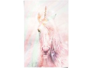 8714597582222 - Poster REINDERS Poster Magisches Einhorn Farbenfroh - Fantasie Pferd Bilder Gr B H 61 cm x 915 cm Einhorn 1 St rosa Poster