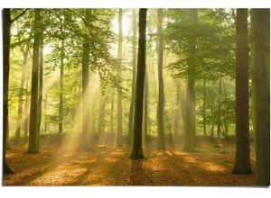 8714597560947 - Poster REINDERS Erleuchteter Wald Bilder Gr B H 915 cm x 61 cm 1 St grün Poster