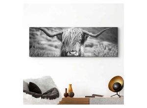 8714597598674 - Wandbild REINDERS Wandbild Highlander Bulle Tiermotiv - Nahaufnahme Hochlandrind Bild Bilder Gr B H 156 cm x 52 cm Kuh 1 St schwarz (schwarz weiß) Kunstdrucke