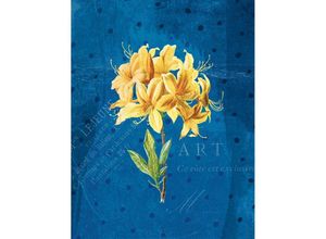 Image of Die Gärten der Künstler Großes Notizheft (A5) Motiv Gelbe Orchidee Punkteraster