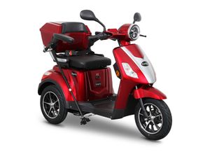 4251293502641 - E-Trike 25 V2 Rot 1000 Watt 4251293502641 - E-Trike 25 V2 Rot 1000 Watt