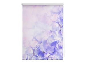 4250434120058 - Seitenzugrollo ORIGINAL Klemmfix Motiv Hortensie Rollos Gr 150 cm 45 cm lila (lila weiß) Rollos ohne Bohren Rollo bedruckt