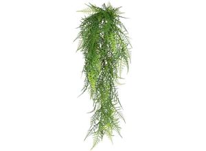 4064118841500 - Kunstranke CREATIV GREEN Hänger Asparagus plumosus Kunstpflanzen Gr B H 25 cm x 80 cm grün Kunst-Ranken