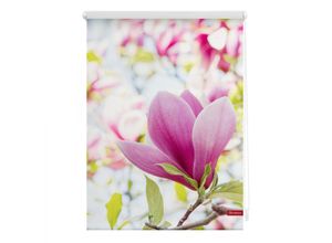 4250434120867 - Lichtblick Rollo Klemmfix ohne Bohren blickdicht Magnolie - Rosa 90 x 150 cm (B x L)