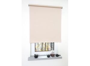 4016318158445 - Liedeco - Springrollo creme Verdunklung Größe 142X180 cm