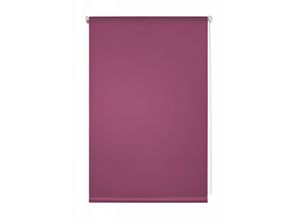 4250434104669 - Lichtblick Thermo-Rollo Klemmfix ohne Bohren Verdunkelung - Fuchsia 90 cm x 150 cm (B x L)