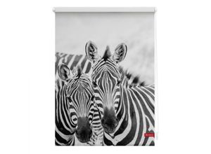 4250434121390 - Lichtblick Rollo Klemmfix ohne Bohren blickdicht Zebra - Weiß Türkis 60 cm x 150 cm (B x L)