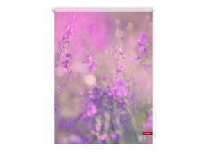 4250434115610 - Lichtblick Rollo Klemmfix ohne Bohren blickdicht Blumenwiese - Fuchsia Violett 100 x 150 cm (B x