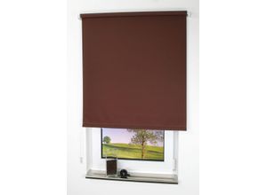 4016318001574 - Liedeco - Seitenzugrollo Uni-Tageslicht cappuccino Größe 122X180 cm