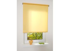 4016318297373 - Liedeco - Springrollo gelb lichtdurchlässig Größe 122X180 cm