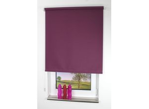 4016318297229 - Liedeco - Seitenzugrollo Uni-Tageslicht brombeere Größe 122X180 cm