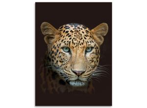 4024008148874 - Flanell Wohndecke Leopard