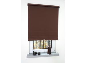 4016318158384 - Liedeco - Springrollo cappucino Verdunklung Größe 142X180 cm