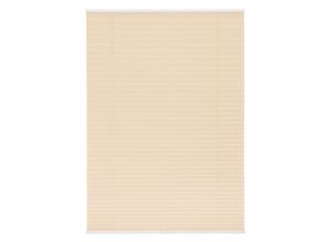 4250434113555 - Plissee ORIGINAL Klemmfix Plissees Gr 210 cm zweiseitig verschiebbar 60 cm beige (creme weiß) Kinder Klemm-Plissee Plissee Sonnenschutz-Plissee Kinderzimmer-Plissees Faltenstore