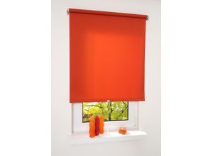 4016318297397 - Liedeco - Springrollo terracotta lichtdurchlässig Größe 122X180 cm