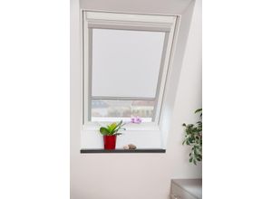 4250434124216 - Lichtblick Dachfensterrollo Skylight Thermo Verdunkelung Weiß 973 cm x 100 cm (B x L)