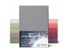 4055971019748 - Etérea - Extra Jersey Spannbettlaken Frost Grau 180x200 - 200x220 cm - Frost Grau