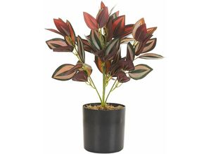 4251682279680 - Kunstpflanze Grün und Rot Kunststoff 35 cm Zimmerpflanze Tradescantia Blumentopf Schwarz Dekoration für Flur Büro Wohnzimmer Indoor - Schwarz