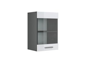 4251421956117 - VICCO Küchenschrank Hängeschrank Hängeglasschrank 40 cm R-Line Anthrazit