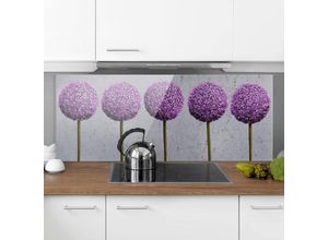 4055957666355 - Micasia - Spritzschutz Glas - Allium Kugel-Blüten - Panorama Quer Größe HxB 40cm x 100cm