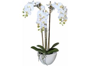 4003529082539 - Kunstpflanze CREATIV GREEN Mini Orchidee Kunstpflanzen Gr B H 14 cm x 51 cm 1 St weiß Kunstorchidee Kunstpflanze Zimmerpflanze Künstliche Zimmerpflanzen Kunstpflanzen