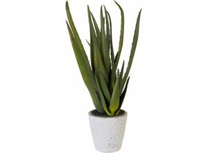 4003529083369 - Kunstpflanze CREATIV GREEN Aloe Kunstpflanzen Gr B H 14 cm x 44 cm 1 St grün Kunstkaktus Kunstpflanze Zimmerpflanze Kunstkakteen Kunstpflanzen