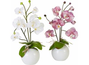 4019844641740 - Kunstpflanze IGEA Orchidee Kunstpflanzen Gr B H 16 cm x 35 cm 2 St lila (violett weiß) Kunstorchidee Kunstpflanze Zimmerpflanze Künstliche Zimmerpflanzen Kunstpflanzen