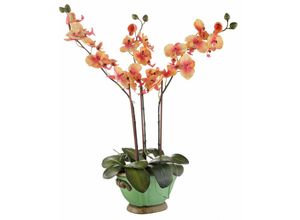 4019844612887 - Kunstpflanze IGEA Orchidee Kunstpflanzen Gr B H 35 cm x 60 cm 1 St orange Kunstorchidee Kunstpflanze Zimmerpflanze Künstliche Zimmerpflanzen Kunstpflanzen