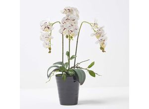 5056280712428 - Künstliche weiße Phalaenopsis-Orchidee im schwarzen Keramik-Topf 56 cm - Weiß - Homescapes