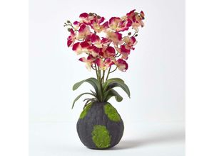 5055967490284 - Kunstblumen Phalaenopsis Orchidee Rosa mit einem natürliche Sockel 60 cm hoch - Rosa & Crème - Homescapes