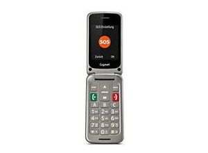 4250366858012 - GL590 - Mobiltelefon - Dual-SIM - microSDHC slot - GSM - 220 x 176 Pixel - RAM 32 MB - 03 MP - Titanium Silver