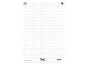 9002244852477 - Ursus GREEN Flipchart-Papier 68 x 99cm 20 Blatt 80 g m2 Kariert Weiß 5 Stück à 20 Blatt