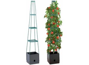 4008069025909 - - Pflanzentopf mit Tomatenstütze Kletterpflanze 150 cm