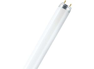 4050300003184 - Leuchtstoffröhre fluora - T8 77 Fluora - 36W (1200mm) - Osram