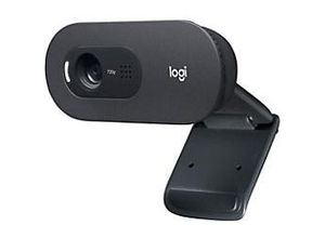 5099206093690 - Logitech C505 Webcam 1280 x 720 Pixel USB Schwarz 5099206093