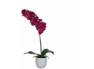 8712799346987 - - Mica Kunstpflanze Phalaenopsis im Topf violett 60 x 16 cm Kunstpflanzen