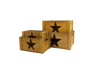 4250648916133 - Holzkisten-Set 4 Größen