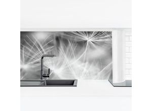 4063307761964 - Micasia - Küchenrückwand - Bewegte Pusteblumen Nahaufnahme auf schwarzem Hintergrund Größe HxB 40x140cm Material Smart