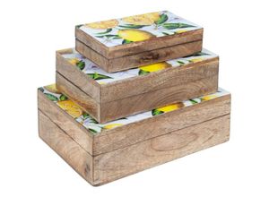 8433933165836 - Zen Et Ethnique - Signes Grimalt Küchenbox Setzen Sie 3 Boxen Zitronenkästen und braune Tabletts 25x18x9cm 16583