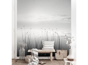 4066332011134 - Micasia - Fototapete - Idylle am See Schwarz-Weiß Größe HxB 192cm x 192cm Material Vlies Smart